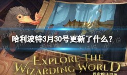 哈利波特一月最新爆料,神秘新篇章，一月爆料揭示神秘力量与未知命运